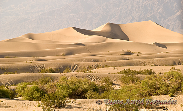 Death-Valley-Sand-Dunes-CA-USA